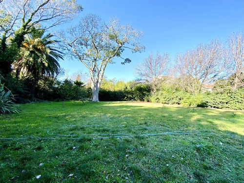 Imagen 3 de 19 de Espectacular Terreno Lote En Venta En Martinez Calle Semi Cortada