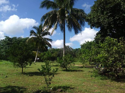 Imagen 1 de 15 de Rancho En Venta En Tunkas Yucatan