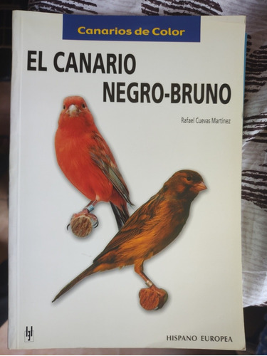 El Canario Negro Bruno Es Un Libro Importado De España 