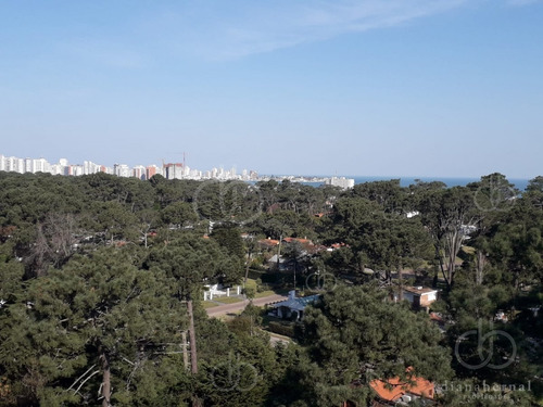 Imagen 2 de 21 de Apartamento En Zona De Roosevelt