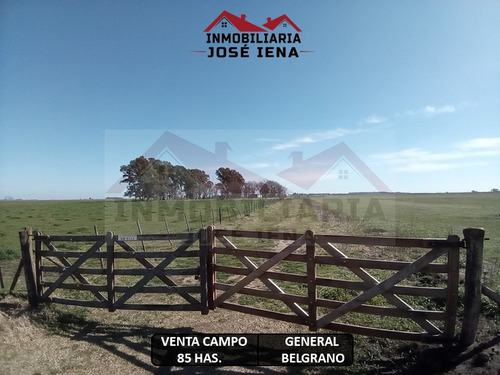 Campo De 85 Has. Mixtas En Venta - General Belgrano, Provincia De Buenos Aires. Ubicado En Zona La Verde Paraje Denominado La Lata, A 11 Km De Ruta 29 Y A 25 Km De La Ciudad!!