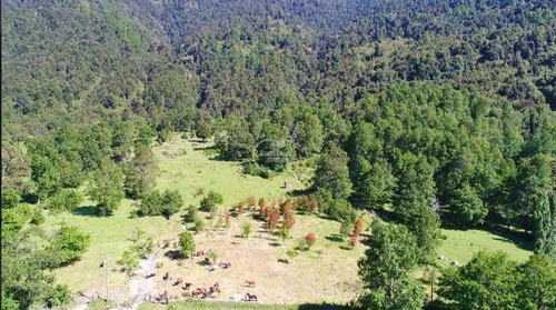 Terreno De 18 Has, Agua Y Luz, En Parte Subdividido En Pucón