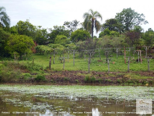 Imagem 14 de 15 de Sítio / Chácara Para Venda Em Mariana Pimentel, Outros - 1164_1-828276