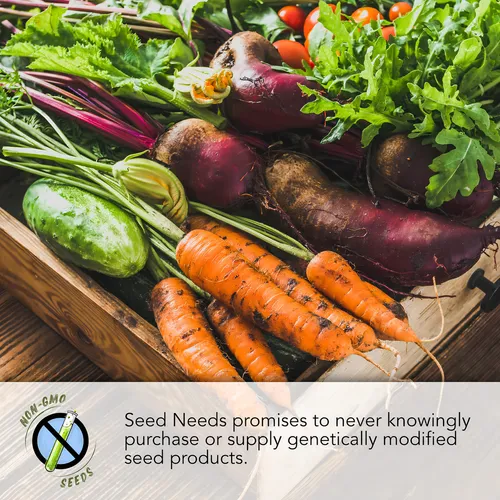 Seed Needs, Semillas De Pepinillo Agrio Mexicano Para Planta