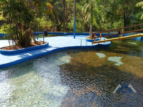 Chácara Com 2 Dormitórios À Venda, 9252 M² Por R$ 1.280.000,00 - Rui Barbosa - Londrina/pr - Ch0041