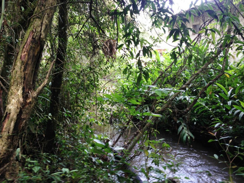 Imagem 13 de 14 de Sitio Com Lago Em Ibiúna Cod;515
