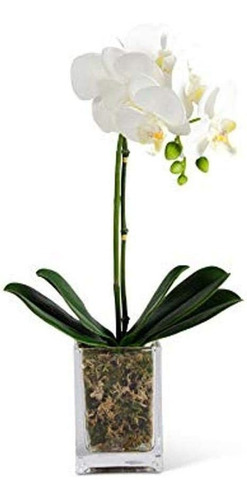 Kk Interiors 16181a Orquídea Blanca De 18.5 Pulgadas E...