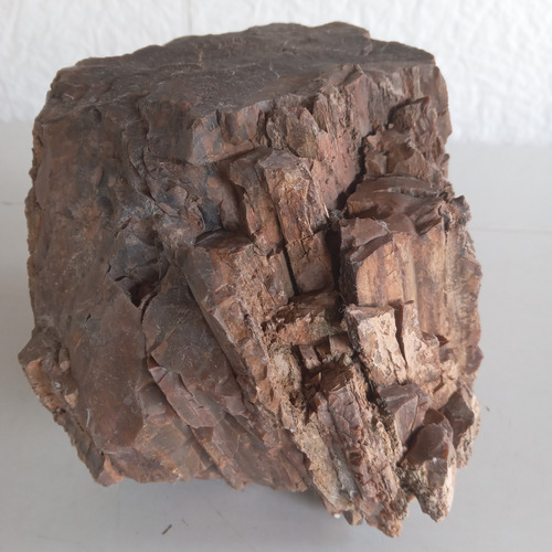 Tronco De Madera Petrificada ,cientos De Años (Usado)