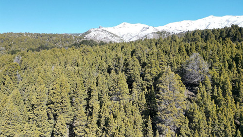 Terreno Fraccion En Venta En Lago Meliquina, San Martin De Los Andes, Patagonia