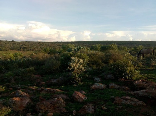 Imagen 5 de 7 de Terreno Colón Querétaro Sup. 1,100 Hectáreas