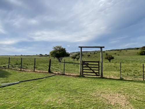 Imagen 3 de 27 de Campo 22 Has Con Casa, Cerca De Pueblo Edén - Pueblo Eden