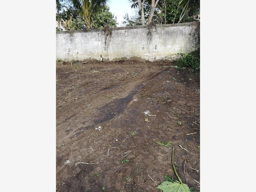Imagen 5 de 8 de Terreno En Venta Piedras Negras