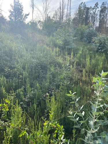 Vendo Parcela 1 Ha A 4,5 Km Peaje Lateral Rafael Oriente