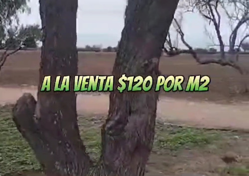 Rancho En Venta O Renta Irapuato