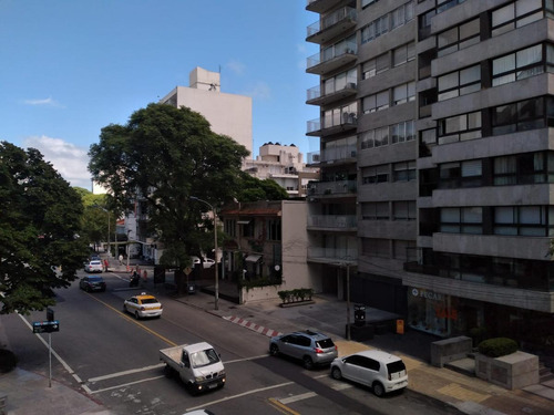 Imagen 1 de 20 de Ellauri Casi Leyenda Patria