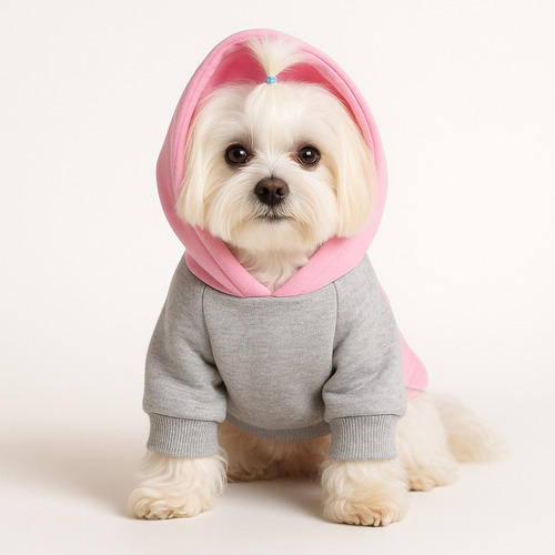 Agasalho Moletom Loved Rosa Tamanho M Para Cachorro de 3 a 5kg