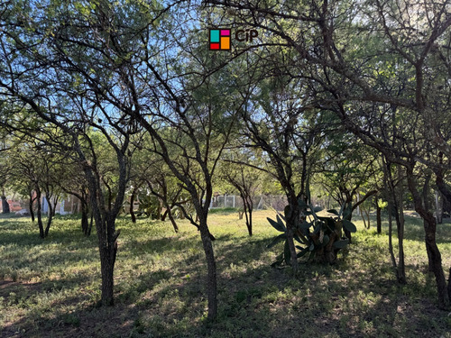 Venta De Lotes Sobre Ruta 1, Los Molles