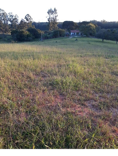 Imagem 7 de 30 de Sítio 4,5 Alqueires Facil Acesso,agua Corrente E De Poço,casa Boa,bem Cercado,bem Cuidado - Ch00073 - 69447576