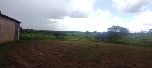 En Venta Finca En Aragua De Barcelona Estado Anzoategui