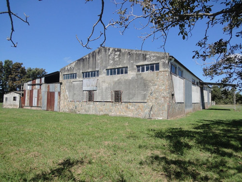 Imagen 2 de 11 de Amplio Galpón Y Casa Sobre Ruta, Terreno De 10.000 M2
