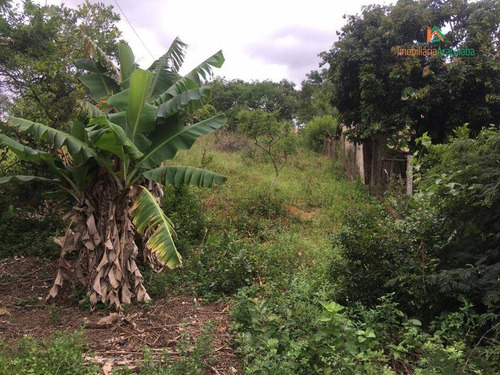 Imagem 6 de 30 de Chácara Com 2 Dormitórios À Venda, 4500 M² Por R$ 350.000,00 - Iperozinho - Capela Do Alto/sp - Ch0150
