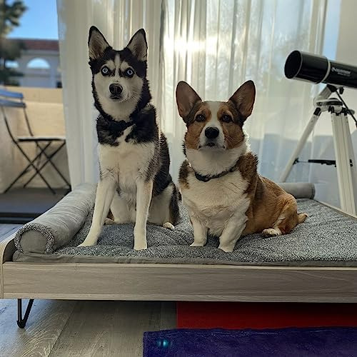 Tailzzz Cama Para Perros De Madera Con Colchón Resistente Al