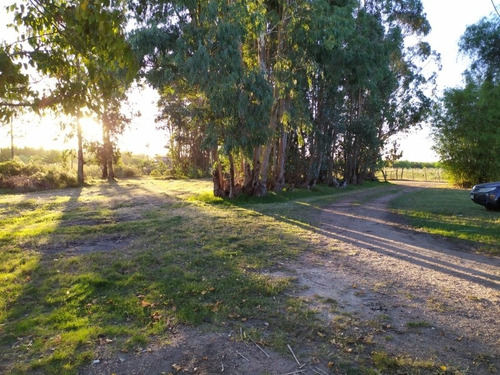 Chacra En Montevideo Rural