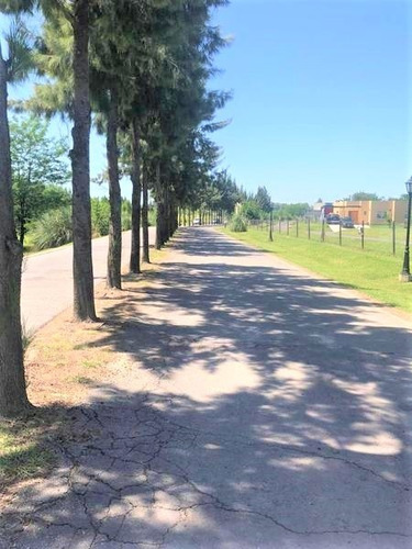 Imagen 13 de 15 de Venta Casa B° C° La Cañada - Los Arces - A Estrenar!!