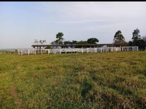 Fazenda À Venda Em Echaporã/sp - Fa00122 - 69026868