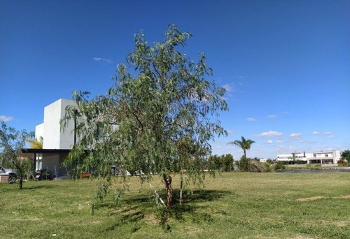 Imagen 5 de 11 de Terreno Lote A La Laguna En Venta En San Francisco, Villanueva, Tigre