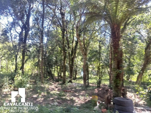 Imagem 3 de 25 de Chacara - Ch00019 - 70696957