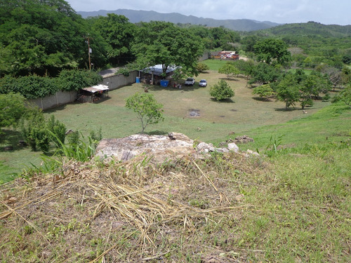 Granja En Cabudare Los Naranjillos, Via El Palaciero