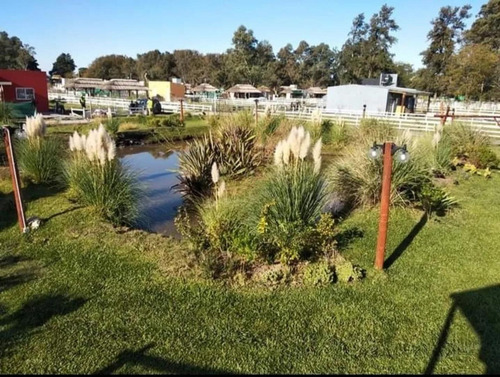 Imagen 13 de 30 de Lote En Venta En Haras El Terraplen