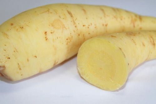 60 Rizomas De Mandioquinha - Batata Baroa - Batata Salsa