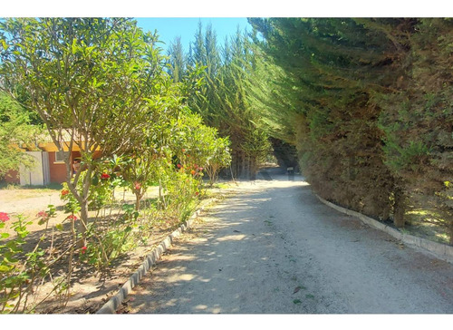 Vendo Conjunto De Cabañas En Valle De Elqui