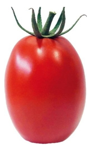 Tomate Ipa6 - 300 Sementes Tipo Saladete