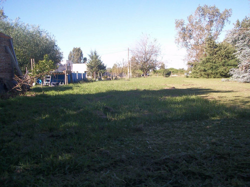 Imagen 13 de 13 de Lote En San Miguel Del Monte