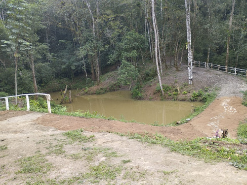 Sítio A Venda Em Sete Barras Sp. Aceito Proposta.