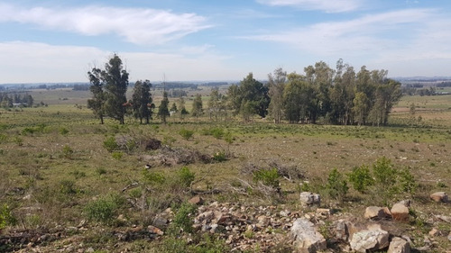 Venta Chacra En Las Vertientes - Ref: 1196