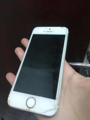 Celular iPhone 5s