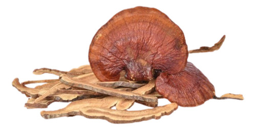 Ganoderma Lucidum (reishi) En Polvo 1 Kg - Original