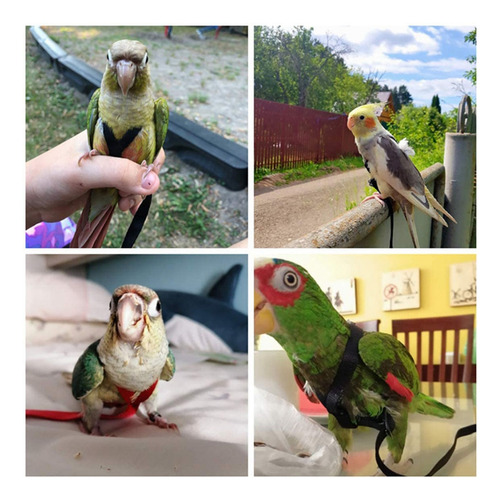 Bird Harness Leash Outdoor Flying Traction Strap Flyi