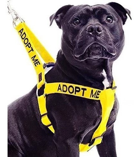 Adoptar Me Color Amarillo Coded L-xl Non-pull Arnes Del Per