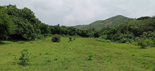 Imagen 2 de 8 de Terreno En Venta En Morelos
