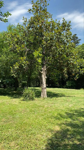 Imagen 1 de 5 de Terreno Lote En Venta 300 M2, Oportunidad! - Francisco Alvarez