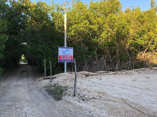 Imagen 10 de 30 de Terreno Con Playa, Bahia Petempich, Pto. Morelos, Quintana R