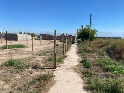 Imagen 4 de 8 de Lotes En Barrio Natania 23