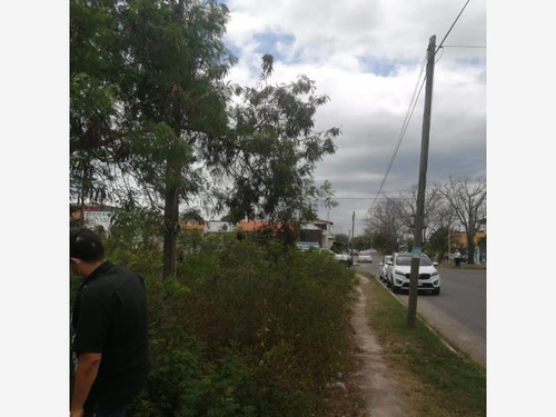 Imagen 2 de 14 de Venta Terreno Del Bosque