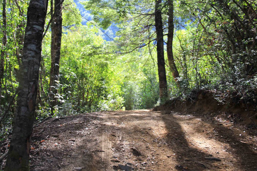 Campo De 326 Hectáreas En Llanada Grande, Cochamó.