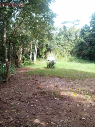 Imagem 13 de 17 de Chácaras_sítios_fazendas Para Alugar - 13650.7785
